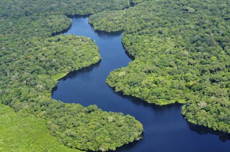 The Brazilian Amazon (Wikimedia Commons)