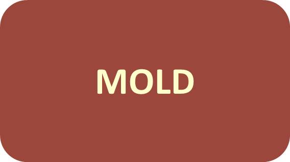 Mold