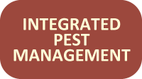 integrated pest management