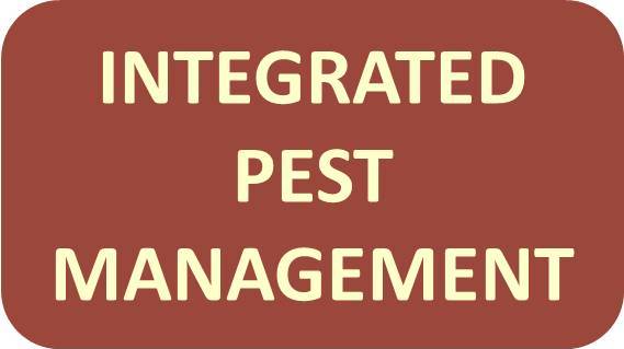 Integrated Pest Management