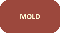 mold