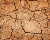 Drought affected ground