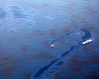 Oil cleanup Deepwater Horizon