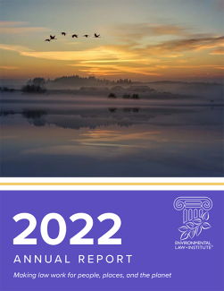 2022 ELI Annual Report