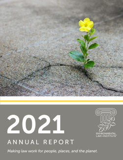 Cover of ELI 2021 Annual Report