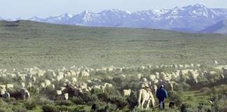 Western states have been at the forefront of the debate about federal land manag