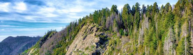 Sequoia National Forest